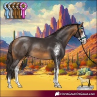 Horse Color:Buckskin Sabino