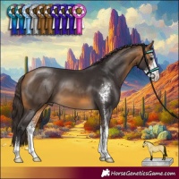 Horse Color:Buckskin Sabino 