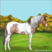 Horse Color:Bay Roan Tobiano Varnish 