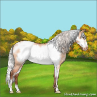 Horse Color:White Spotted Silver Bay Dun Frame Varnish 