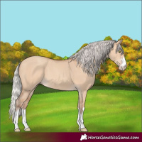 Horse Color:Silver Sable Champagne Dun 