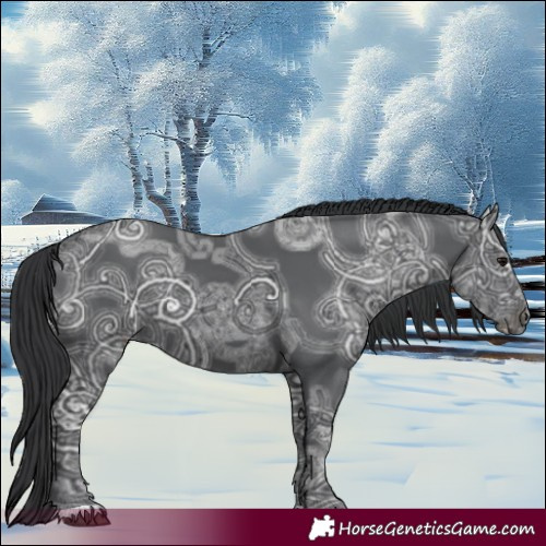 Horse Color:Black Ice 