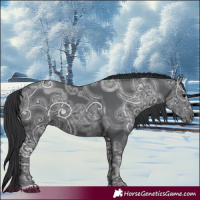 Horse Color:Black Ice 