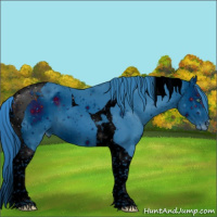 Horse Color:ERROR: UNKNOWN ANOMALY