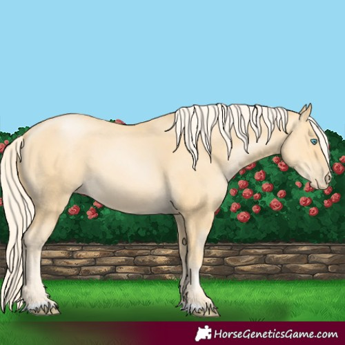 Horse Color:Palomino Pearl