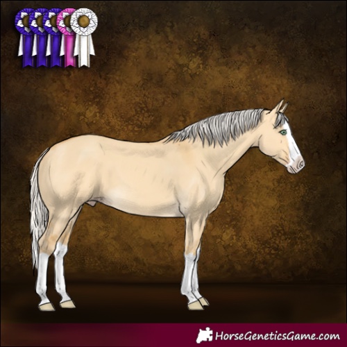 Horse Color:Silver Amber Cream Champagne Dun Splash 
