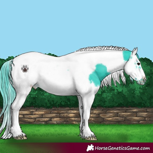 Horse Color:Watercolor Black Splash Tobiano Frame 