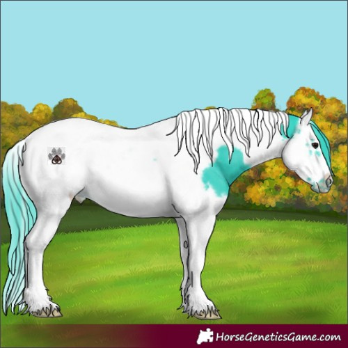 Horse Color:Watercolor Black Splash Tobiano Frame 