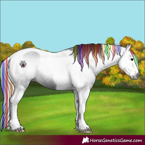 Horse Color:Gray Painted Black Splash Tobiano 
