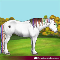 Horse Color:Gray Painted Black Splash Tobiano