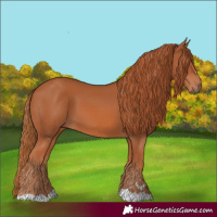 Horse Color:Chestnut 