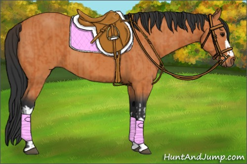 Horse Color:Bay  and Bay 