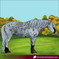 Horse Color:ERROR: UNKNOWN ANOMALY