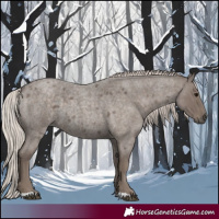 Horse Color:Silver Blue Roan 
