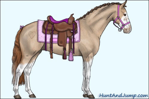 Horse Color:Red Dun Roan Splash Frame Rabicano 