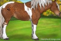Horse Color:Silver Buckskin Tobiano 