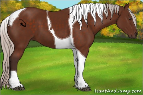 Horse Color:Silver Bay Tobiano