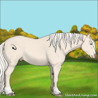 Horse Color:Cremello Sabino 