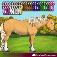 Horse Color:Palomino Tobiano 