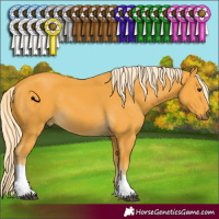 Horse Color:Palomino Tobiano 