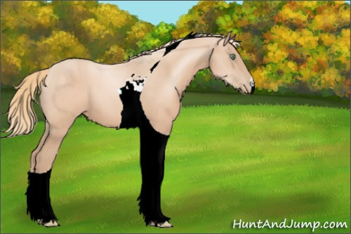 Horse Color:ERROR: UNKNOWN ANOMALY