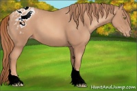 Horse Color:Gold Champagne Tobiano Varnish 