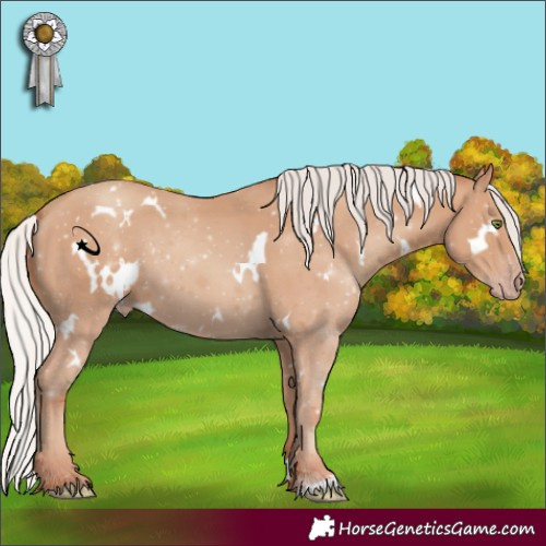 Horse Color:White Spotted Silver Classic Champagne