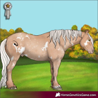 Horse Color:White Spotted Silver Classic Champagne 