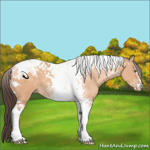 Horse Color:Amber Champagne Tobiano 