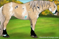 Horse Color:White Spotted Palomino Dun 