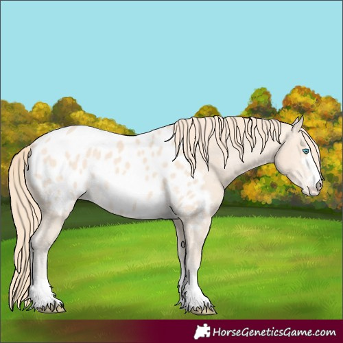 Horse Color:Perlino Blanket