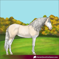 Horse Color:Palomino Pearl Splash 