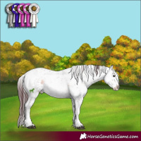 Horse Color:Chocolate Brown Ice Onyx Mushroom Sabino 