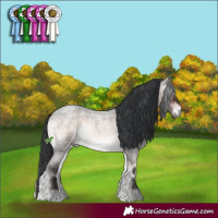 Horse Color:Brown Roan Onyx Mushroom Sabino