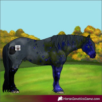 Horse Color:ERROR: UNKNOWN ANOMALY