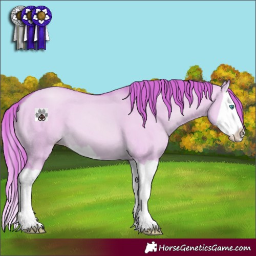Horse Color:Watercolor Gold Champagne Dun Splash 