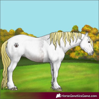 Horse Color:Gray Painted Bay Tobiano 