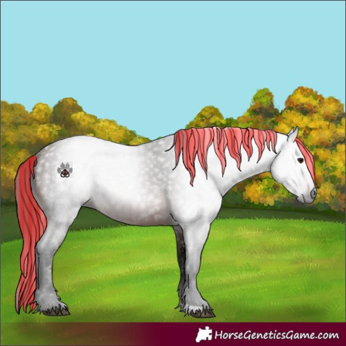 Horse Color:Gray Painted Bay Rabicano 