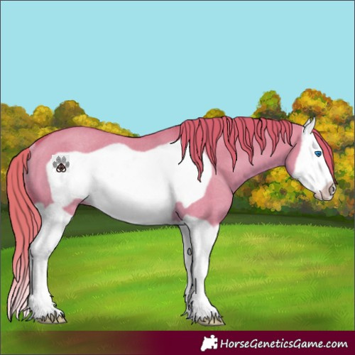 Horse Color:Watercolor Red Dun Splash Frame Rabicano 
