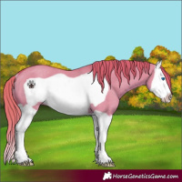 Horse Color:Watercolor Red Dun Splash Frame Rabicano 