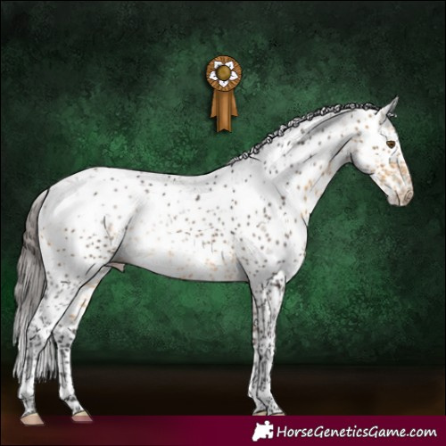 Horse Color:Buckskin Sabino 