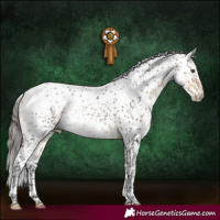 Horse Color:Buckskin Sabino