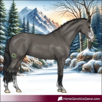 Horse Color:Grullo Sabino 