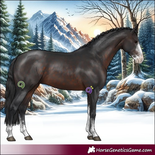 Horse Color:Brown Sabino