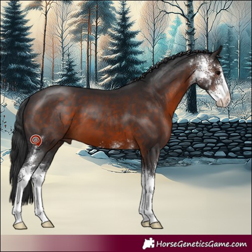 Horse Color:Brown Sabino 