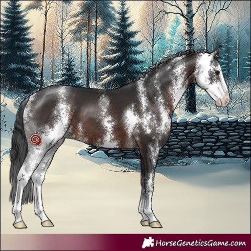 Horse Color:Brown Sabino 