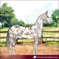 Horse Color:White Spotted Liver Red Dun Sabino Near Leopard 
