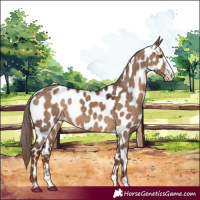 Horse Color:Liver Red Dun Sabino Leopard 