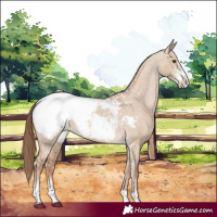 Horse Color:Red Dun Sabino Near Fewspot 