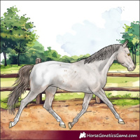 Horse Color:Amber Champagne Near Fewspot 